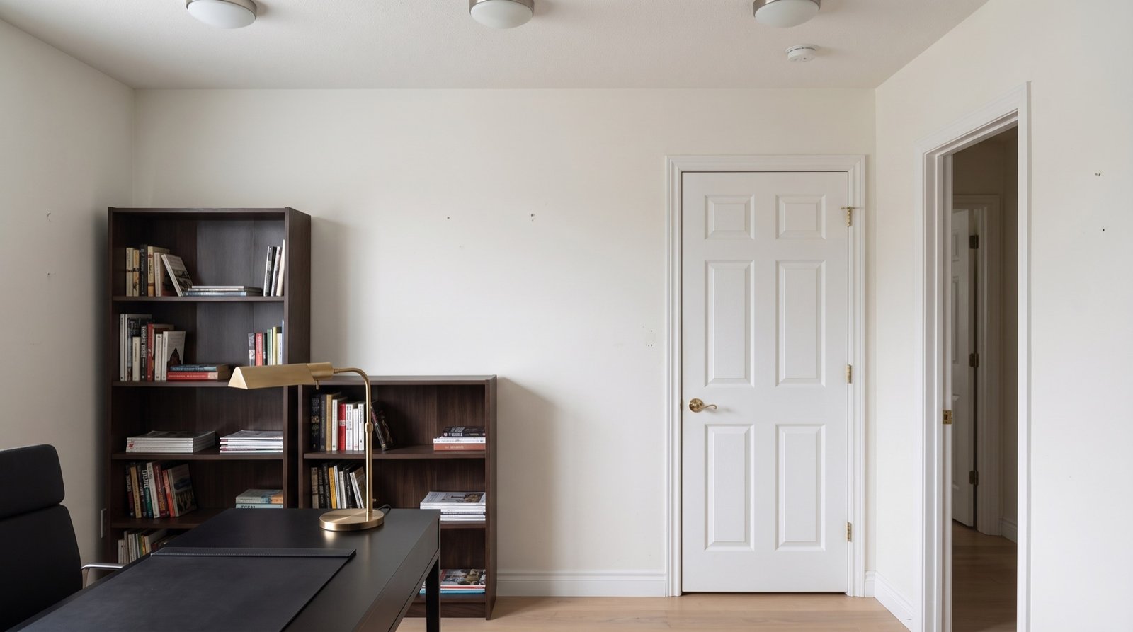 The original office wall: a standard painted door between two freestanding bookcases